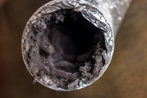 Best Best Air Duct Cleaning Company  in Ferron, UT